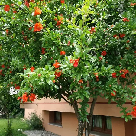 Apartment - Sportholiday House Segusino-valdobbiadene Sequsino